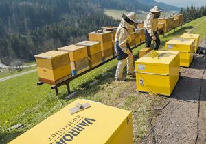 Demonstration der Duplex-Wabentasche und des Varroa Controllers